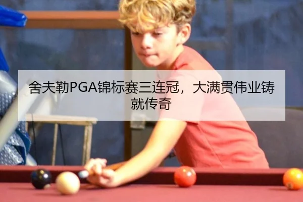 she-fu-lei-jin-biao-sai-san-lian-guan-da-man-guan-wei-ye-zhu-jiu-chuan-qi-3-980.jpg