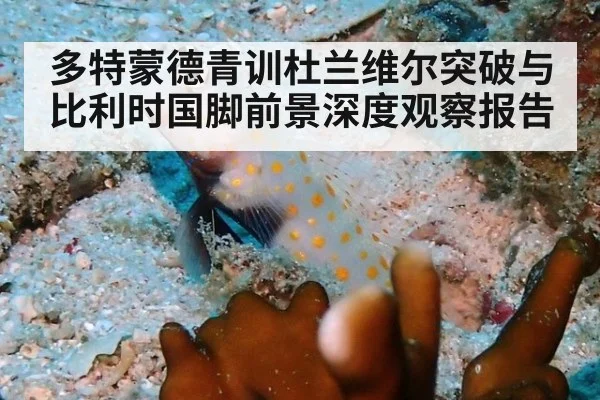 多特蒙德青训杜兰维尔突破与比利时国脚前景深度观察报告